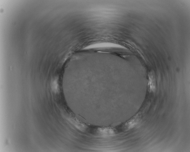 X0000076450520200610161315