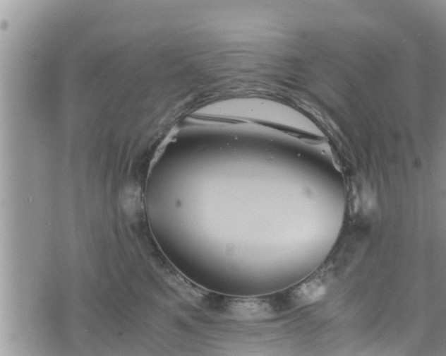 X0000076450521200610161315