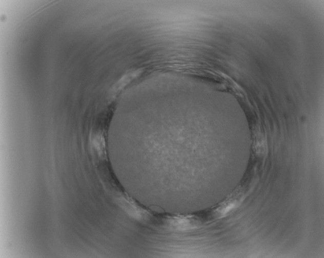 X0000076450523200610161315