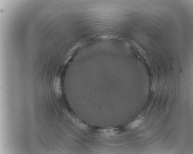 X0000076450524200610161315