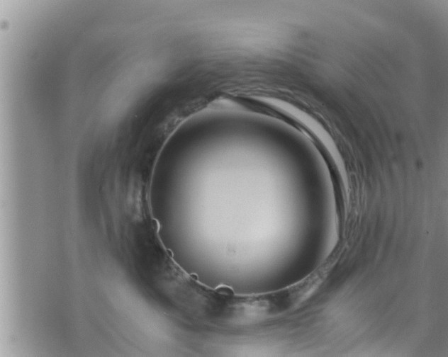 X0000076450525200610161315