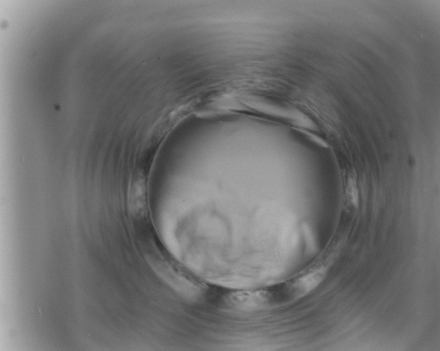 X0000076450526200610161315