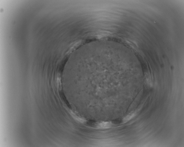 X0000076450527200610161315