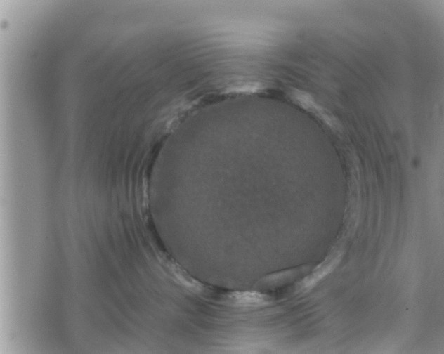 X0000076450528200610161314