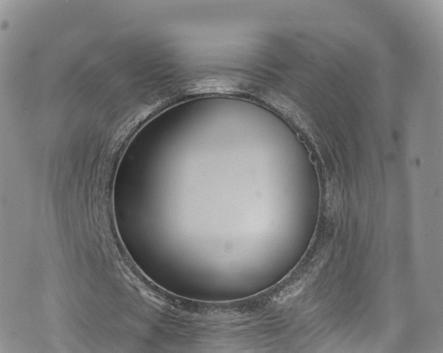 X0000076450529200610161314