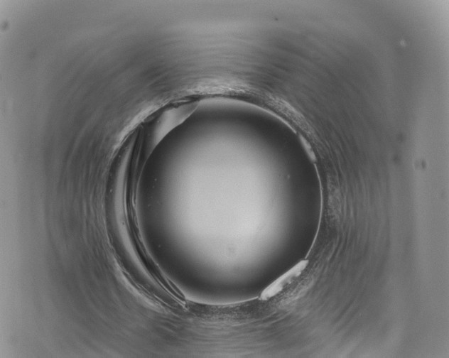 X0000076450530200610161314