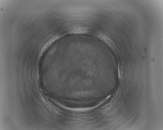 X0000076450531200610161314