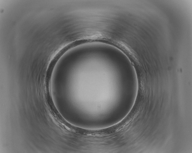 X0000076450532200610161314