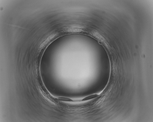 X0000076450533200610161314