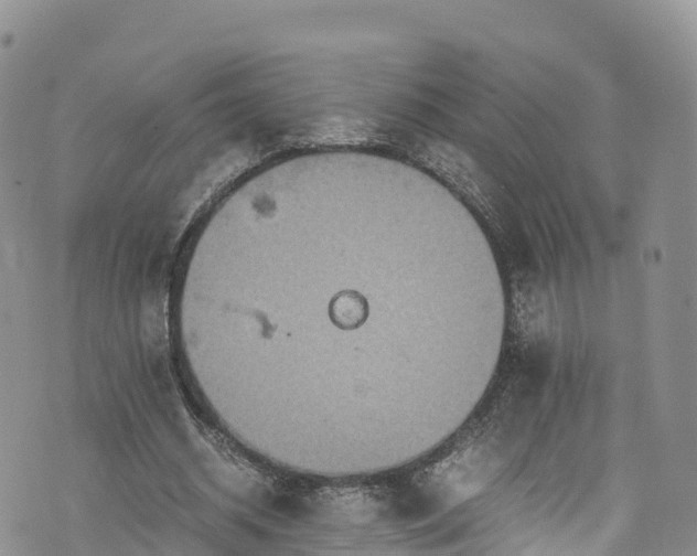 X0000076450534200610161314