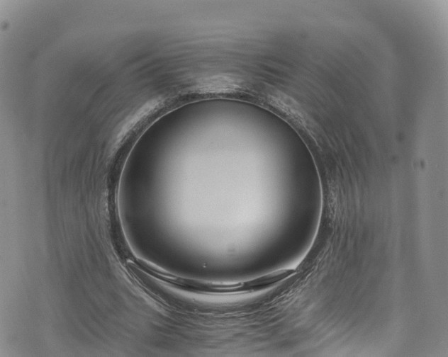 X0000076450535200610161314