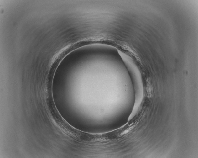 X0000076450536200610161314