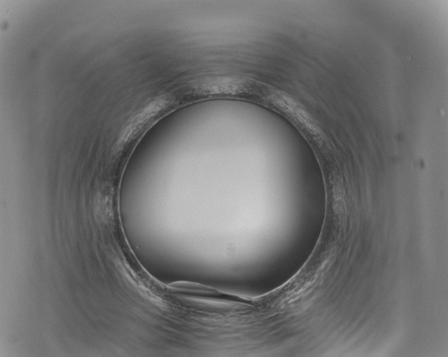 X0000076450537200610161314