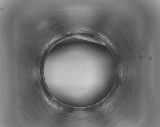 X0000076450538200610161314