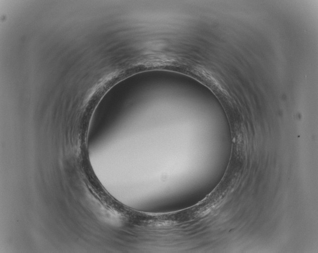 X0000076450539200610161314