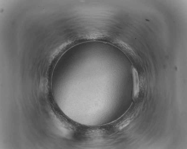 X0000076450540200610161314