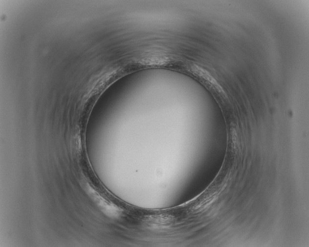 X0000076450541200610161314