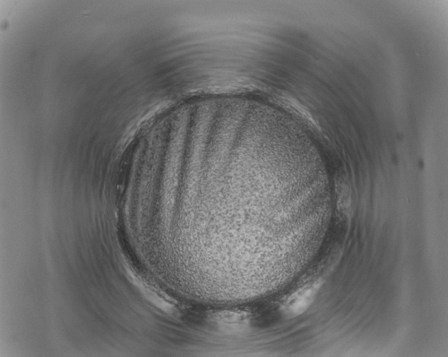 X0000076450542200610161314