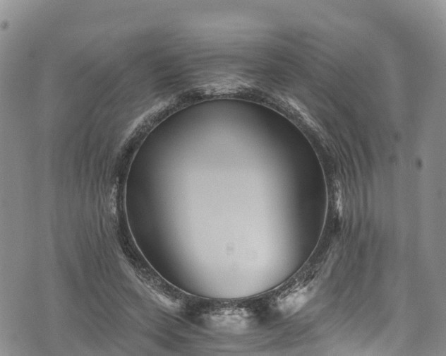 X0000076450543200610161314