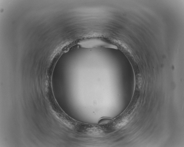 X0000076450544200610161314