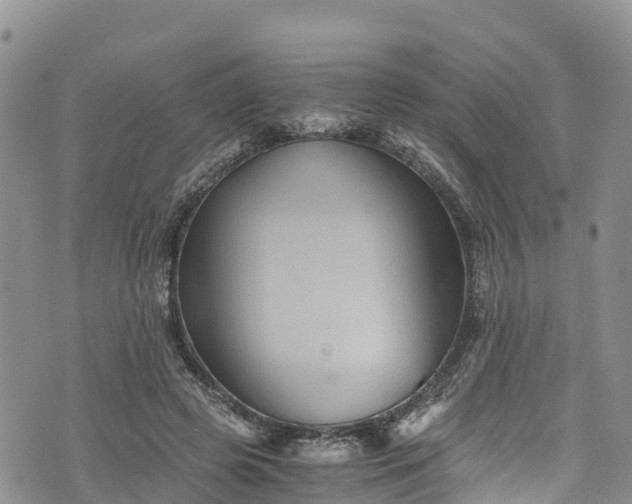 X0000076450545200610161314