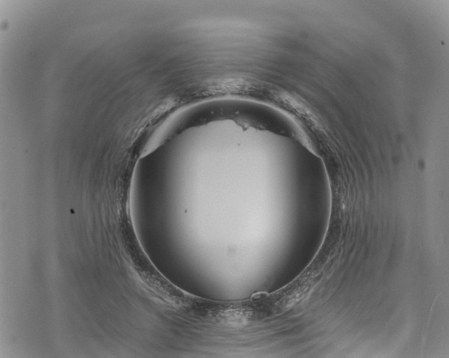 X0000076450546200610161314