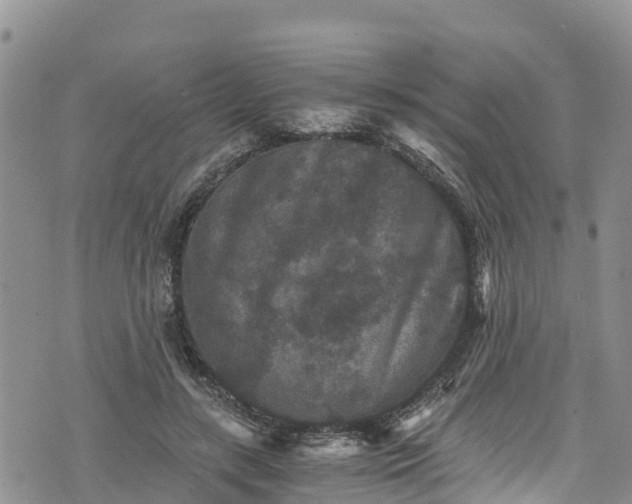 X0000076450547200610161314