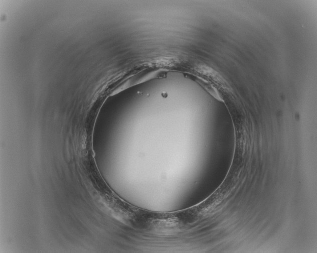 X0000076450548200610161314