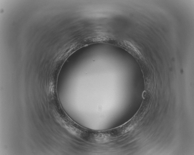 X0000076450549200610161314