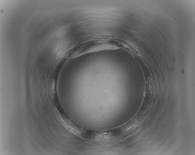 X0000076450550200610161314