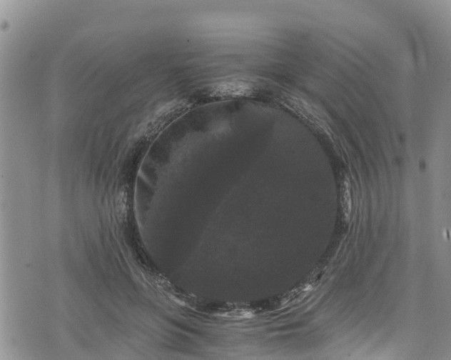 X0000076450551200610161314