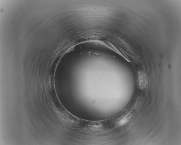 X0000076450552200610161314