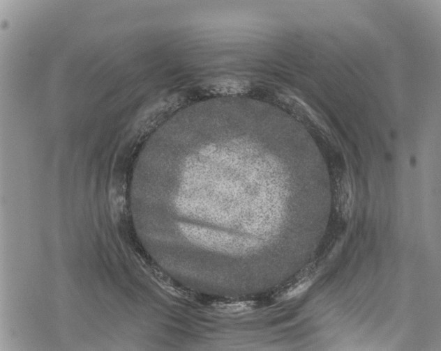 X0000076450553200610161314