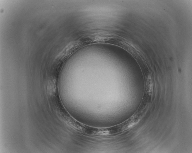 X0000076450554200610161314