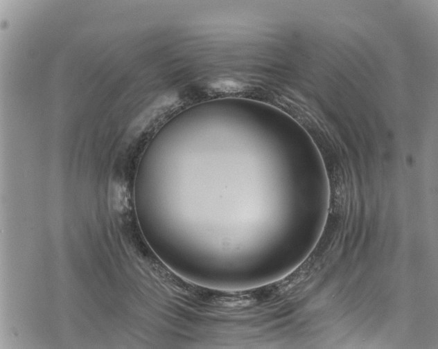 X0000076450555200610161314