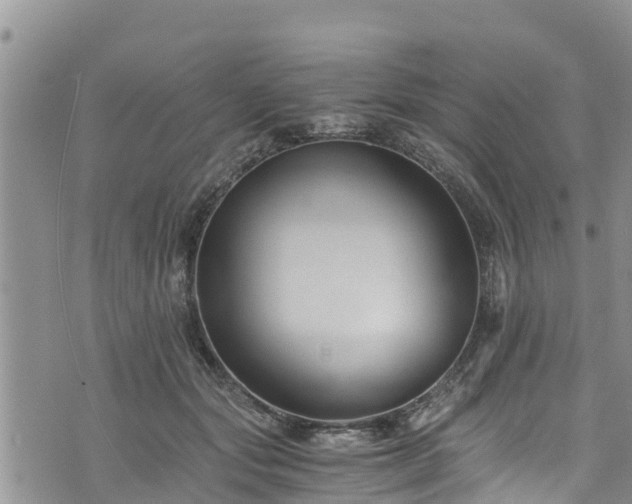 X0000076450557200610161314