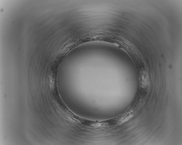 X0000076450558200610161314