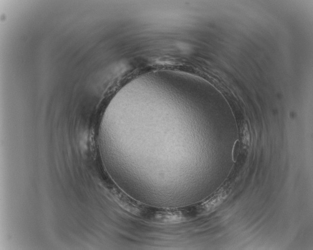 X0000076450559200610161314