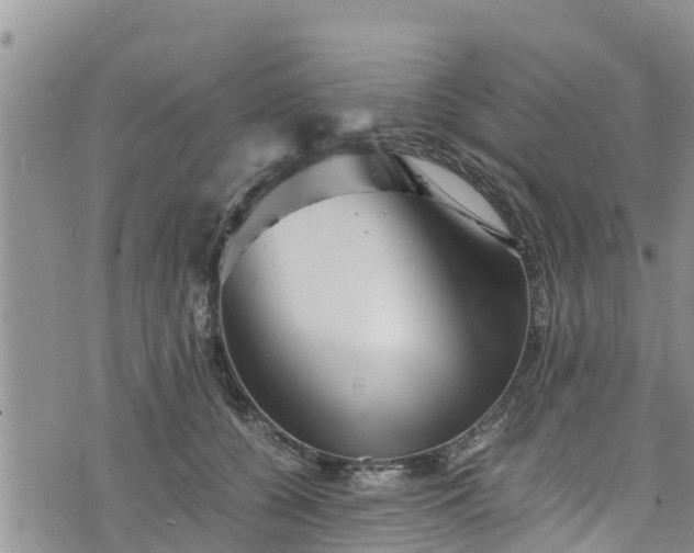 X0000076450560200610161314