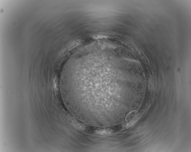 X0000076450561200610161314