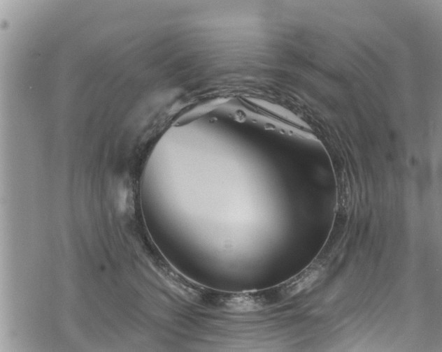 X0000076450562200610161314