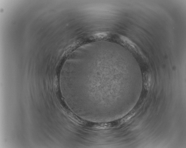 X0000076450563200610161314