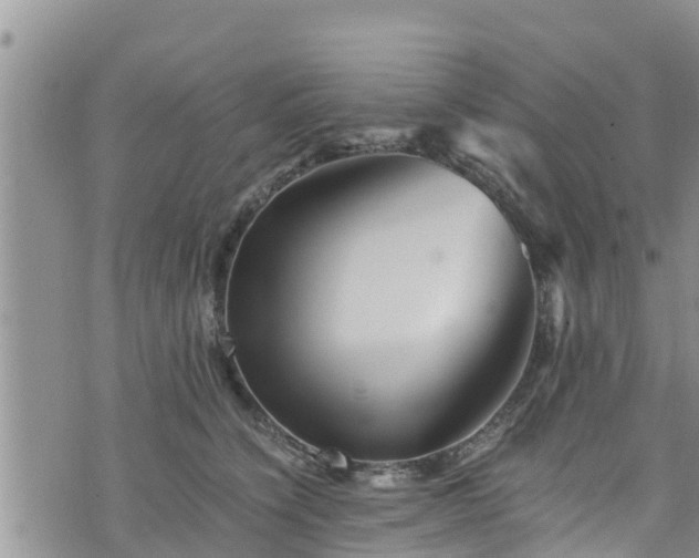 X0000076450564200610161314