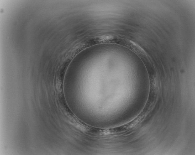 X0000076450565200610161314