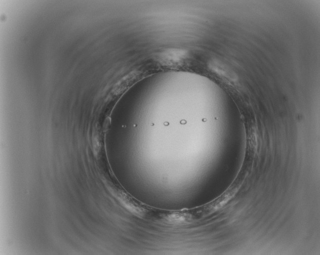 X0000076450566200610161314