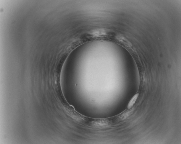 X0000076450567200610161314