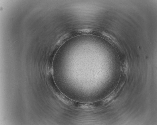 X0000076450568200610161314