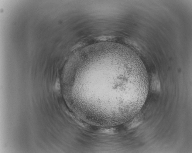 X0000076450569200610161314