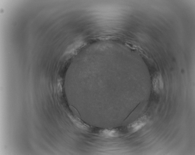 X0000076450570200610161314