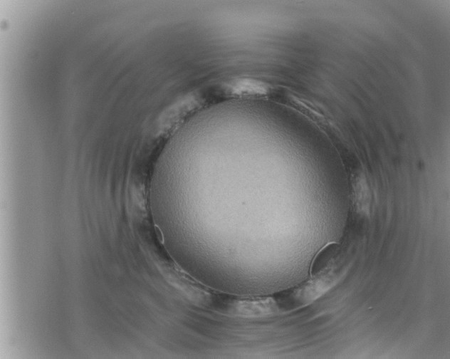 X0000076450571200610161314